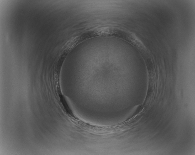 X0000058100029200509231011