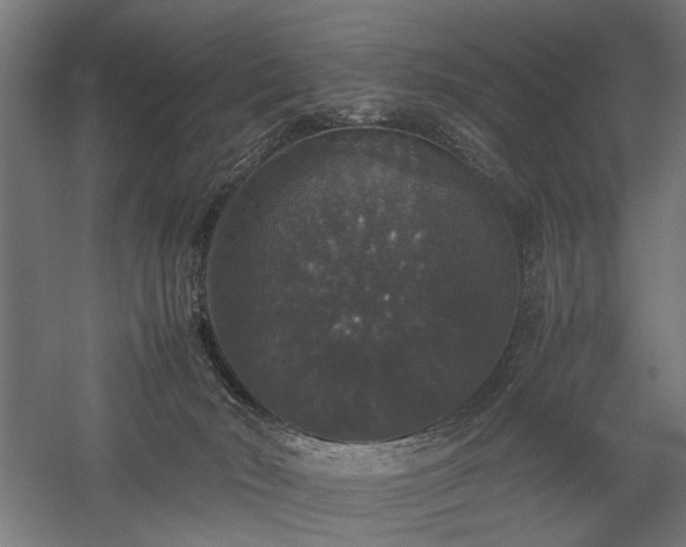 X0000058100030200509231011