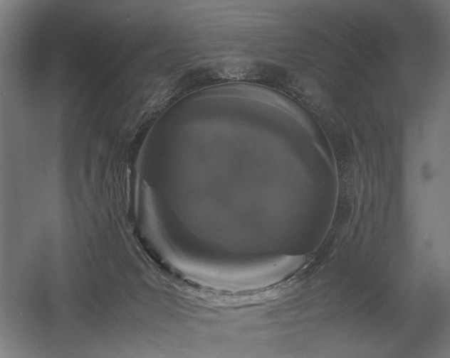 X0000058100031200509231011