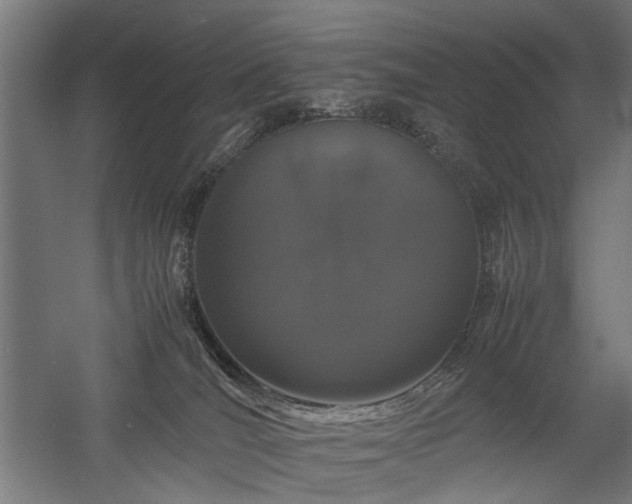 X0000058100036200509231011