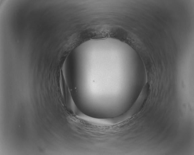X0000058100037200509231011