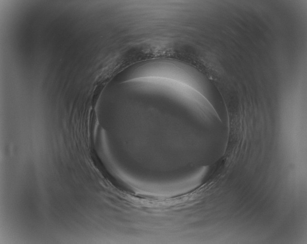 X0000058100039200509231011