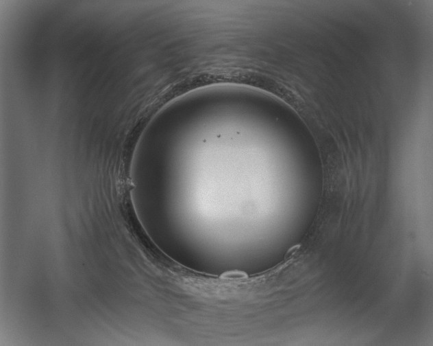 X0000058100040200509231011