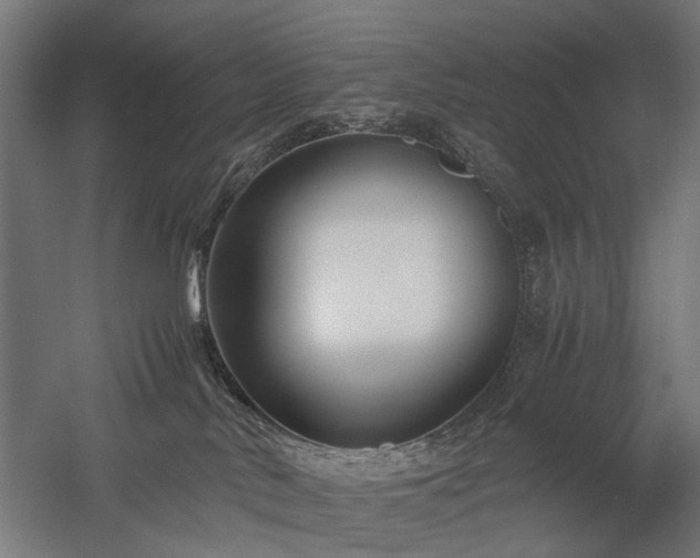 X0000058100042200509231011
