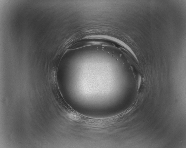 X0000058100045200509231011