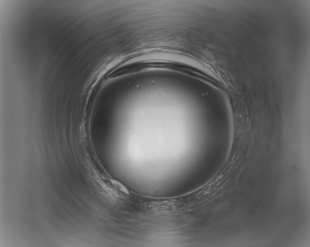 X0000058100050200509231010