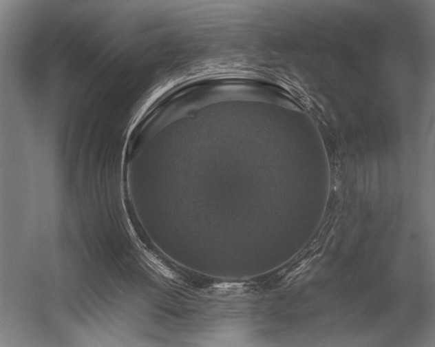 X0000058100052200509231010