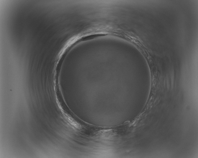 X0000058100054200509231010