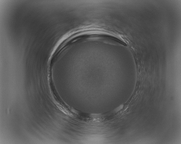 X0000058100056200509231010