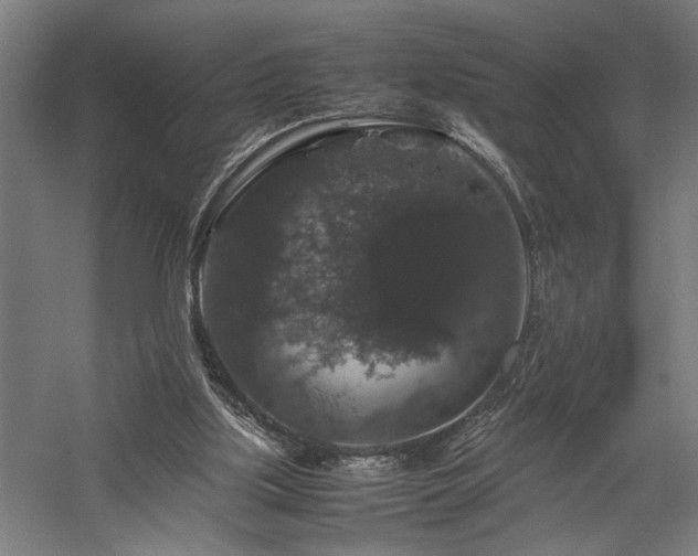 X0000058100059200509231010