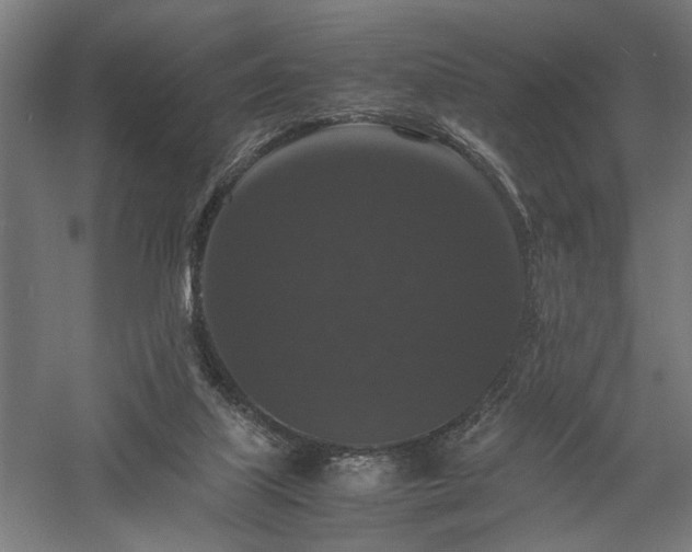 X0000058100067200509231011