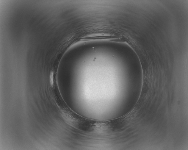 X0000058100070200509231011