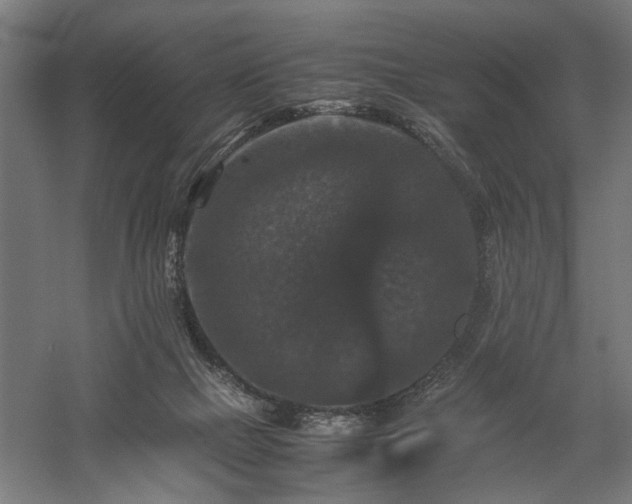 X0000058100073200509231011