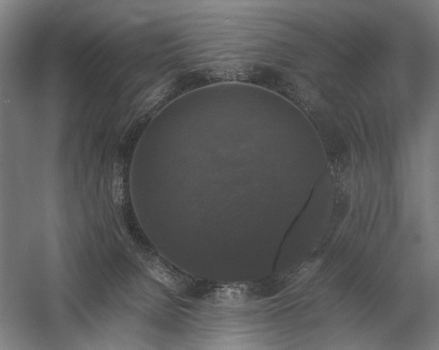 X0000058100080200509231011