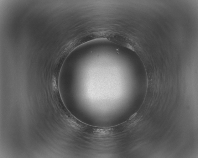 X0000058100089200509231011