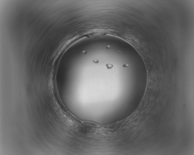 X0000058100098200509231010