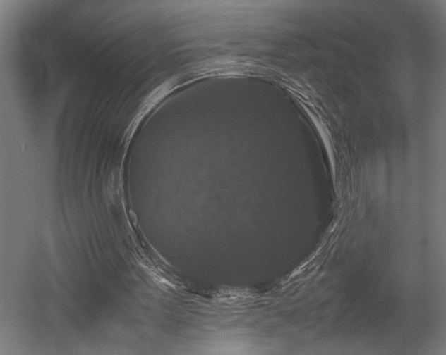 X0000058100099200509231010