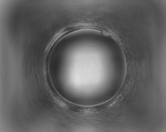 X0000058100103200509231010