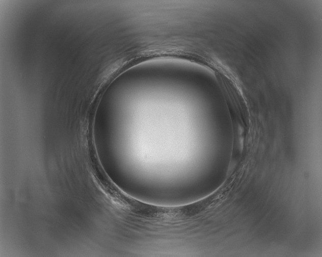 X0000058100107200509231010