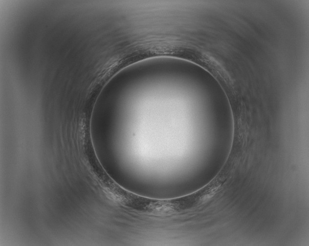 X0000058100113200509231010