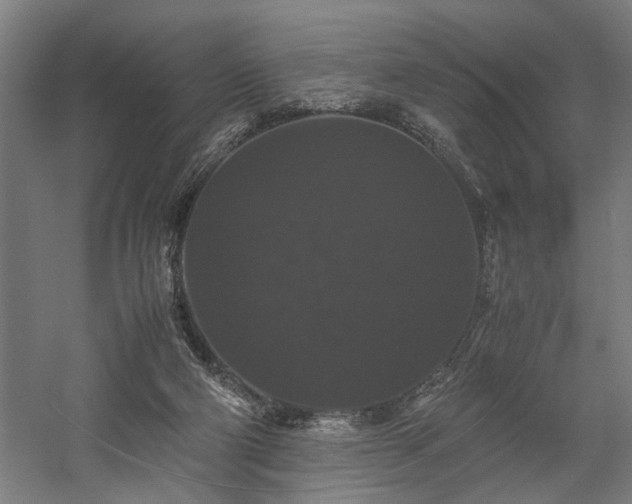 X0000058100114200509231010