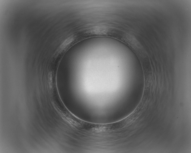 X0000058100120200509231010