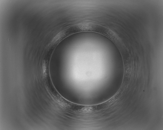 X0000058100124200509231010