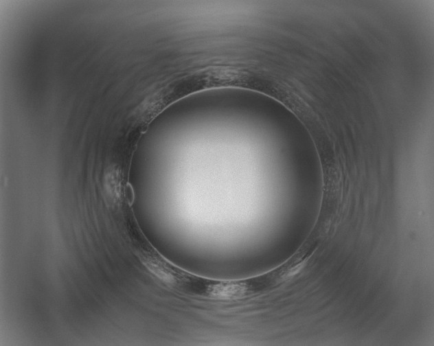 X0000058100135200509231010