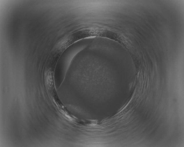 X0000058100137200509231010