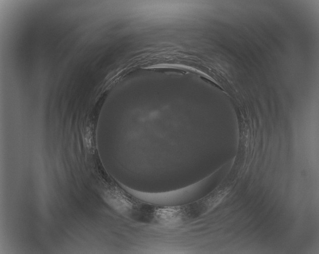 X0000058100139200509231009