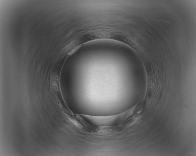 X0000058100141200509231009