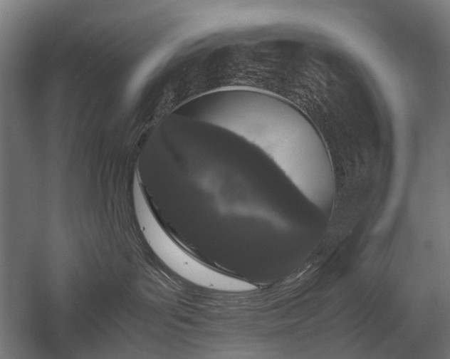 X0000058100143200509231009