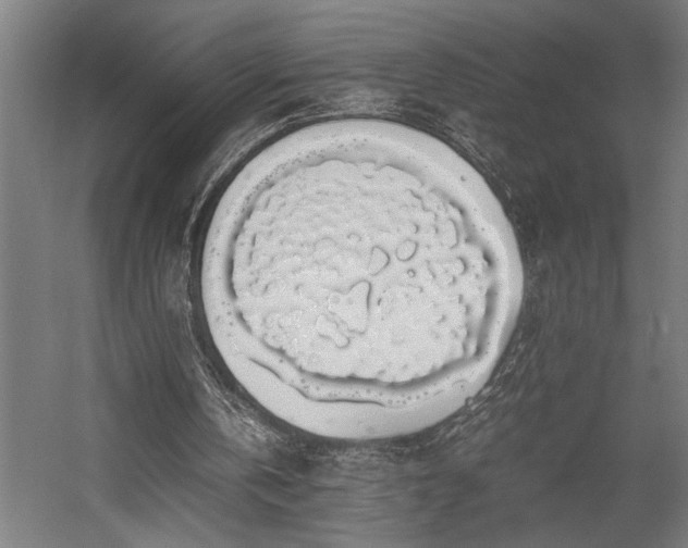 X0000058100146200509231009
