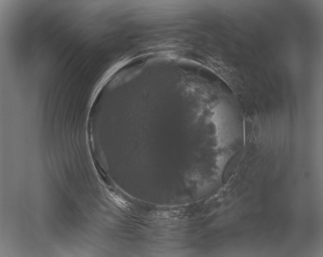 X0000058100147200509231009