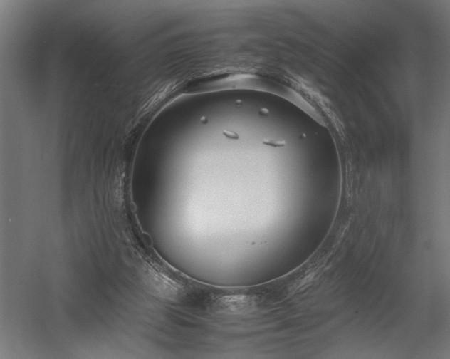 X0000058100153200509231009