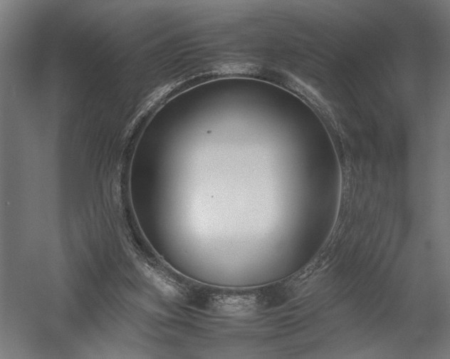 X0000058100155200509231009