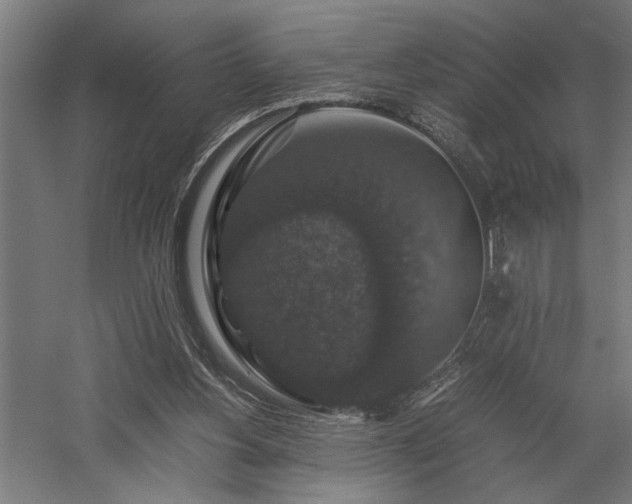 X0000058100156200509231009