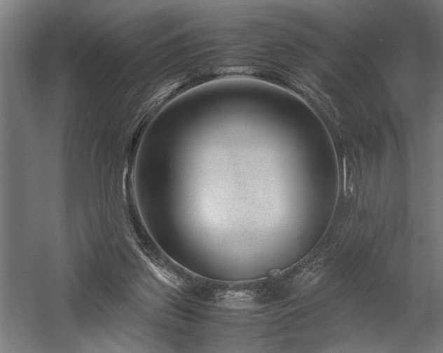X0000058100157200509231009
