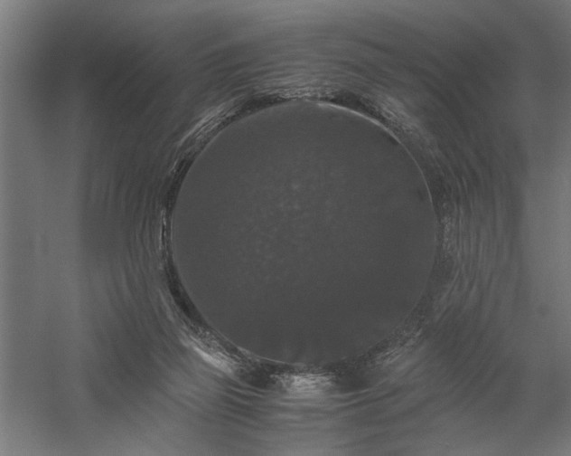 X0000058100165200509231009