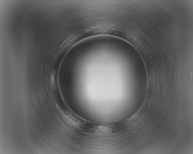 X0000058100166200509231009