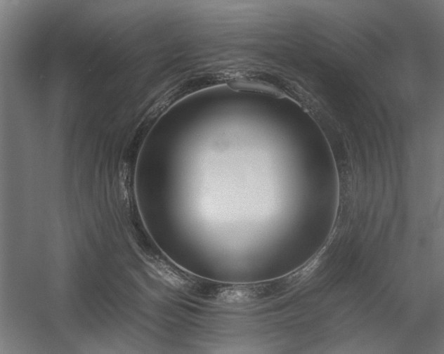 X0000058100174200509231009