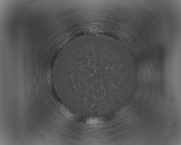 X0000058100177200509231009