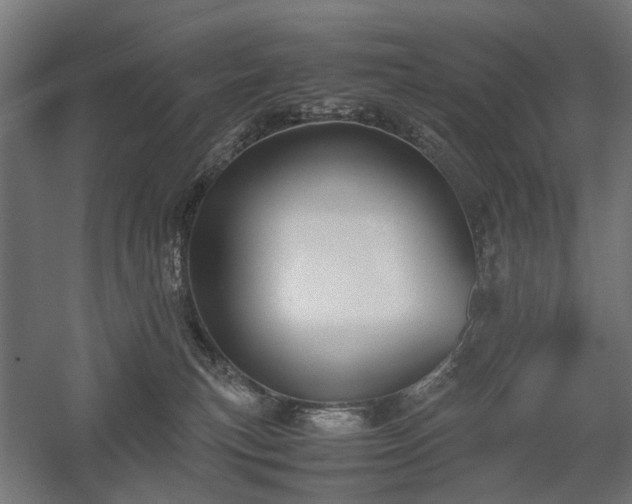 X0000058100183200509231009