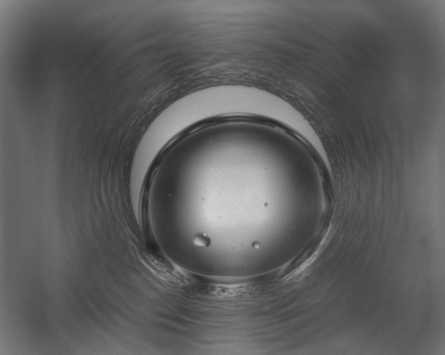 X0000058100186200509231009