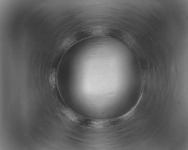 X0000058100190200509231009