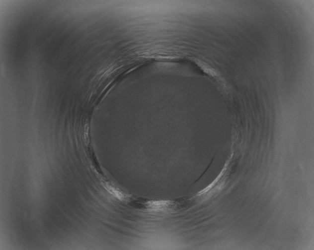 X0000058100192200509231009