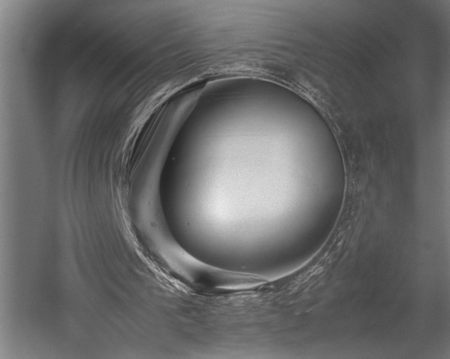 X0000058100193200509231009