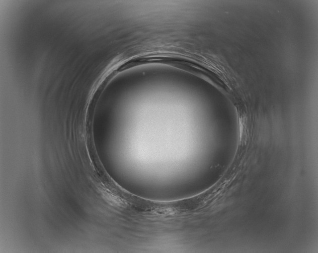 X0000058100195200509231009