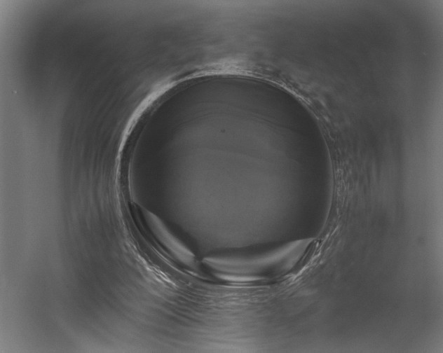 X0000058100200200509231008
