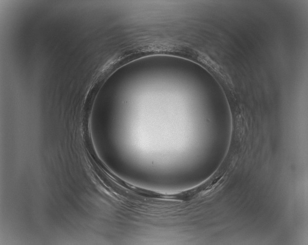 X0000058100203200509231008